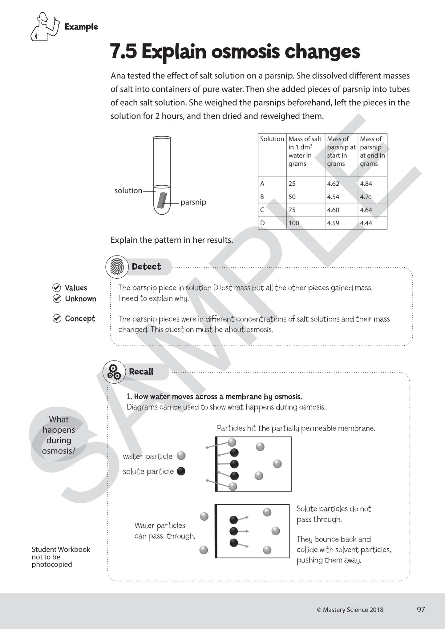 GCSE/Y9 Digital Mastery Practice Book