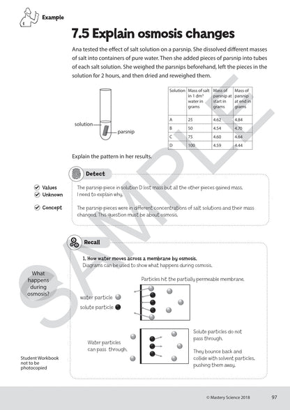 GCSE/Y9 Digital Mastery Practice Book