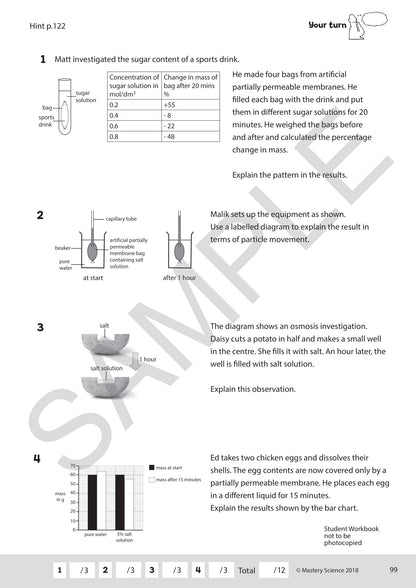 GCSE/Y9 Digital Mastery Practice Book