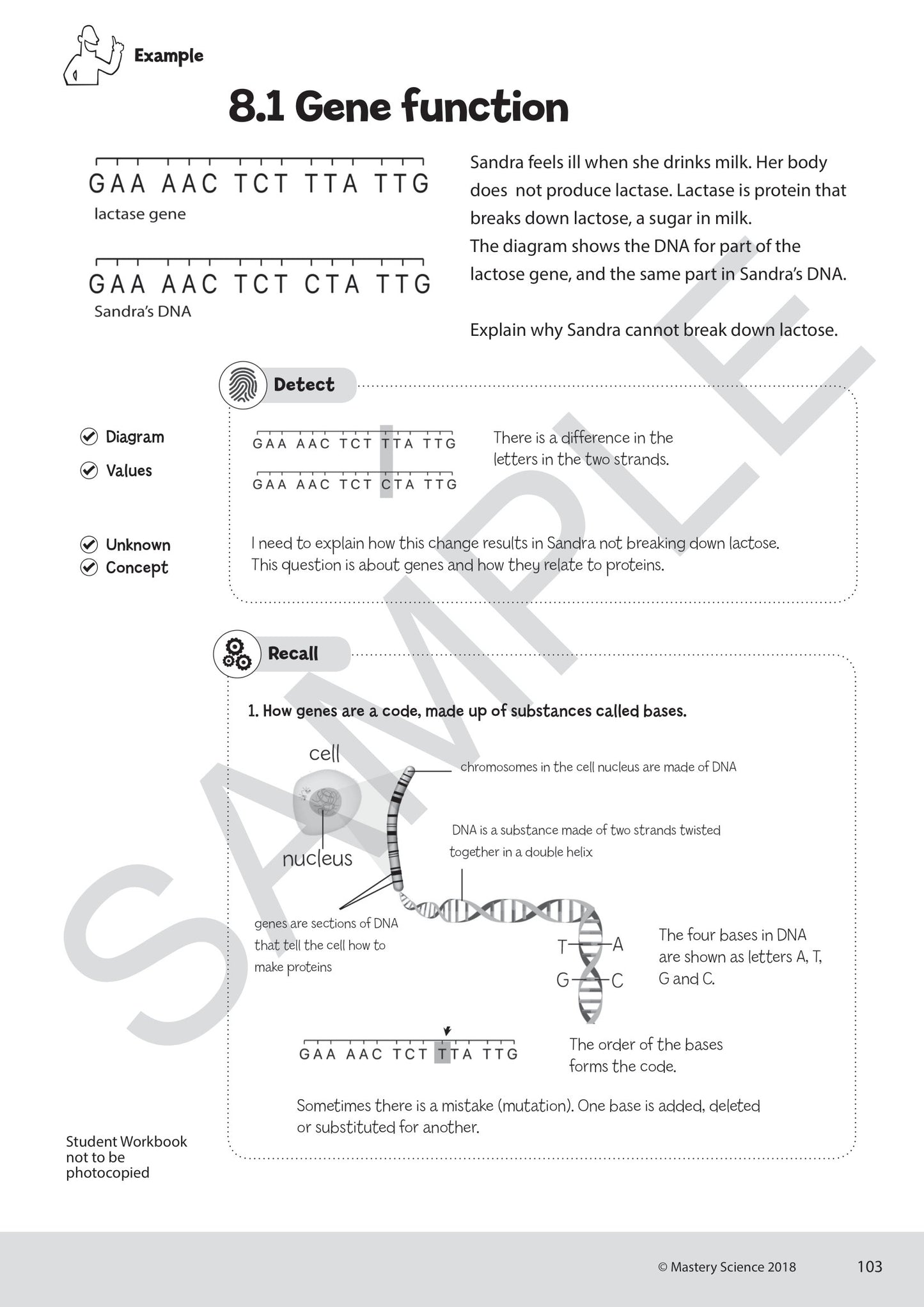 GCSE/Y9 Digital Mastery Practice Book