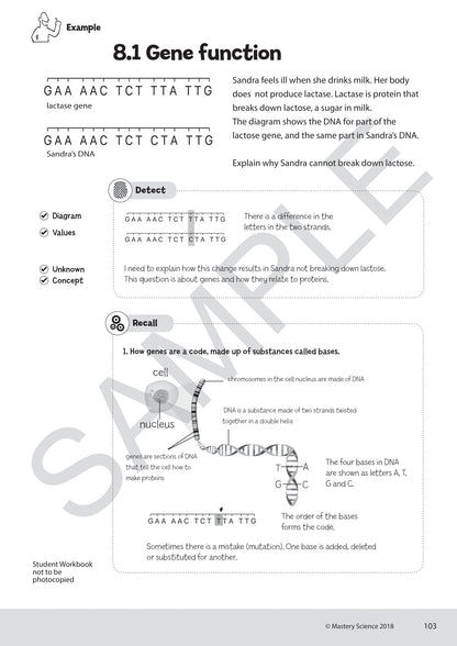 GCSE/Y9 Digital Mastery Practice Book