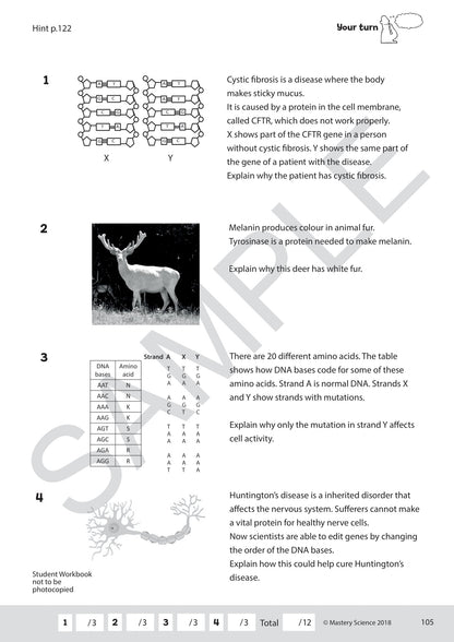 GCSE/Y9 Digital Mastery Practice Book