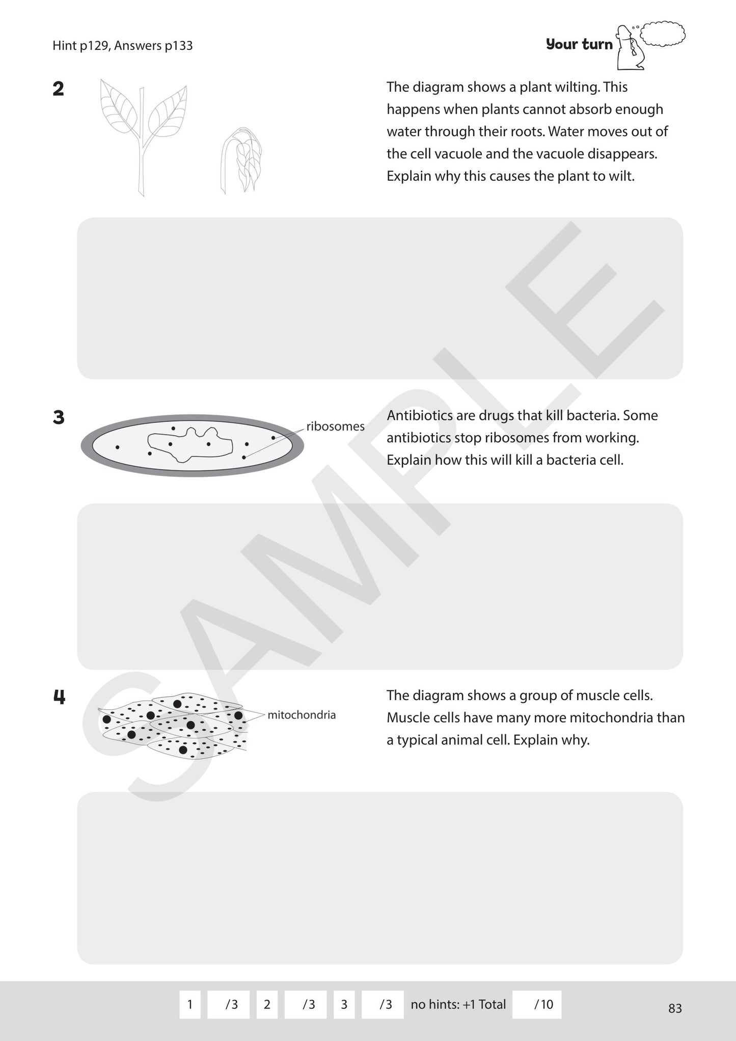 Year 7 Digital Mastery Practice Book