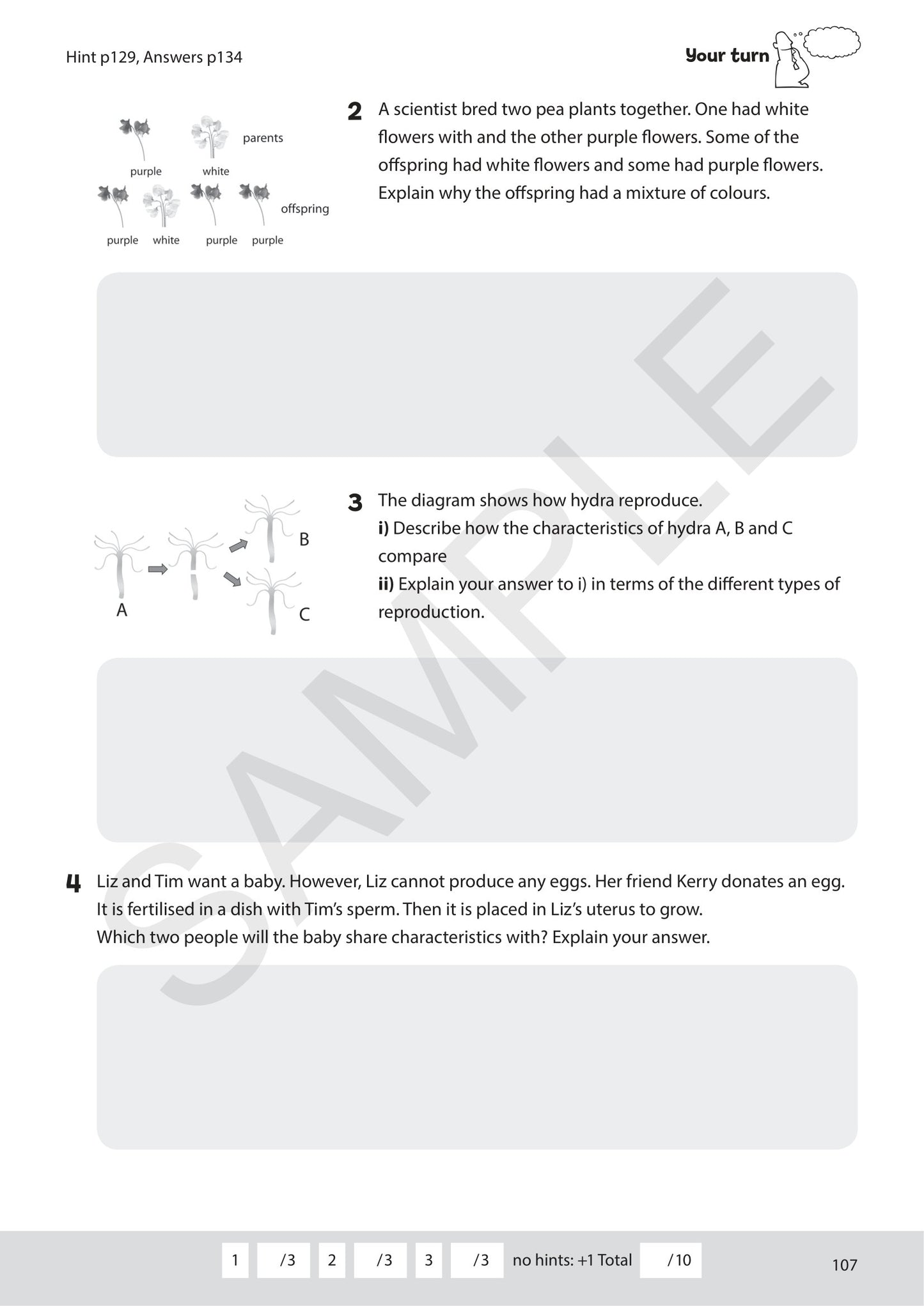 Year 7 Digital Mastery Practice Book