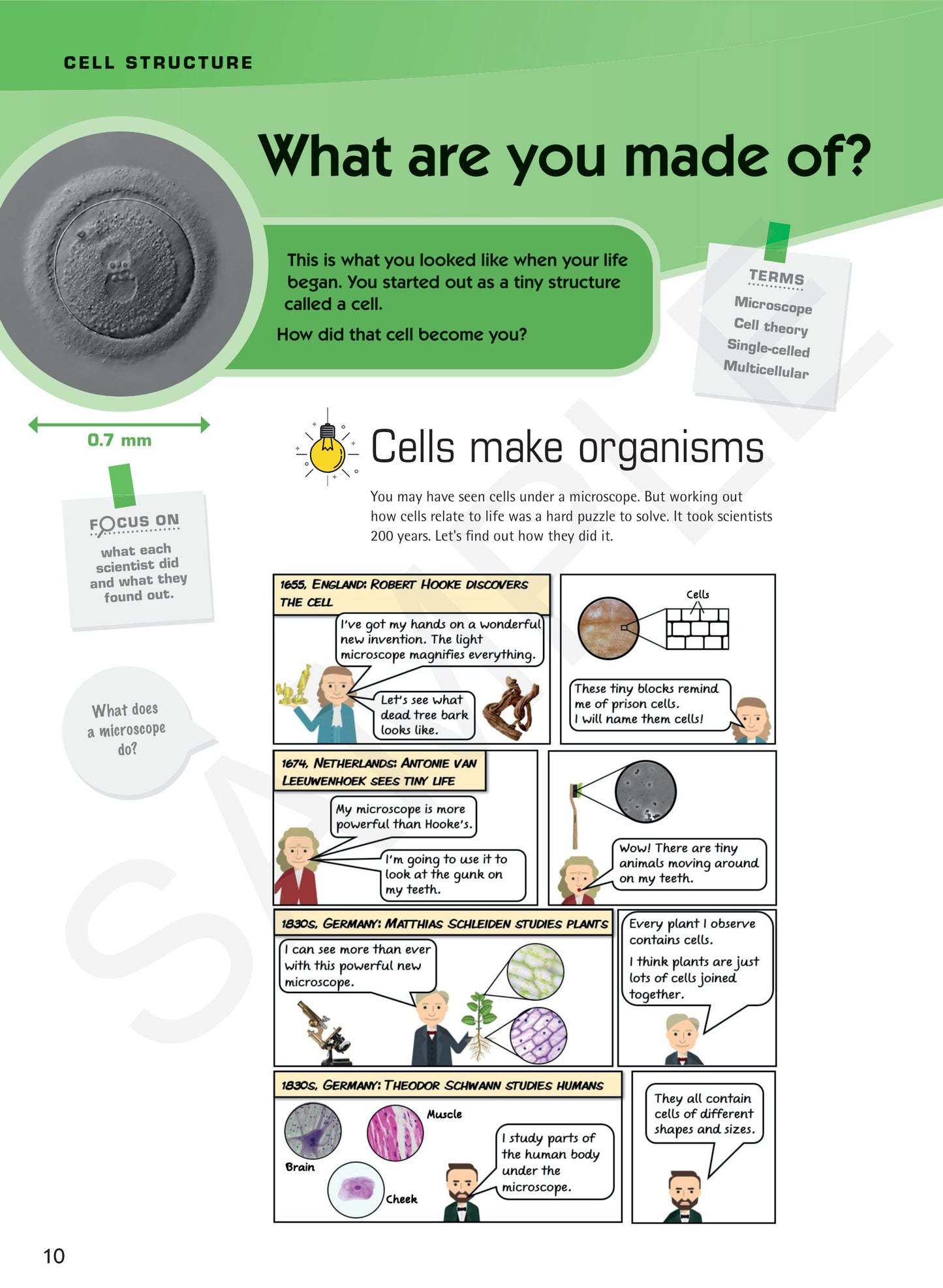 Year 7 Understanding Science textbook