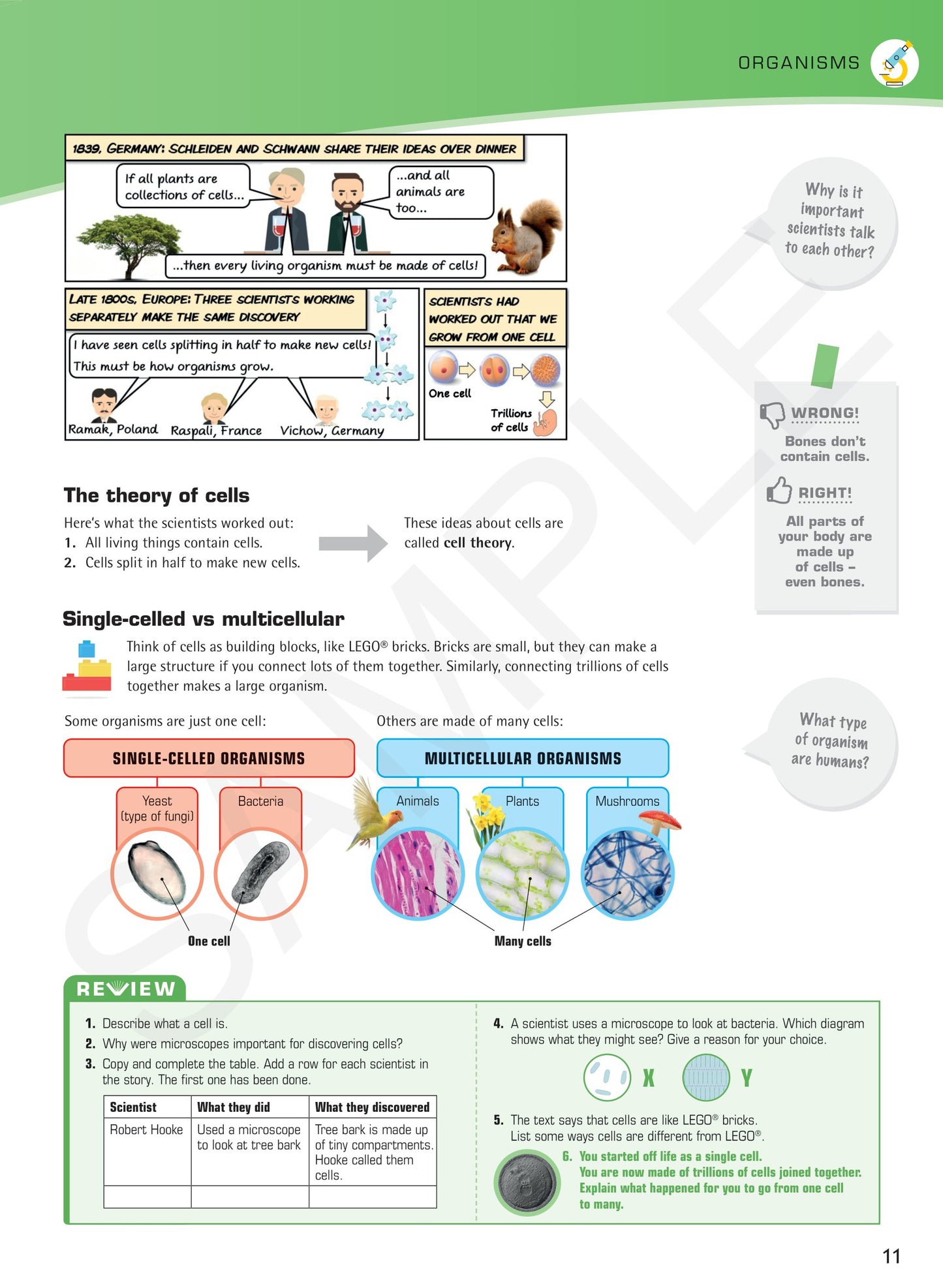 Year 7 Understanding Science textbook