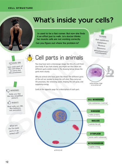 Year 7 Digital Understanding Science textbook