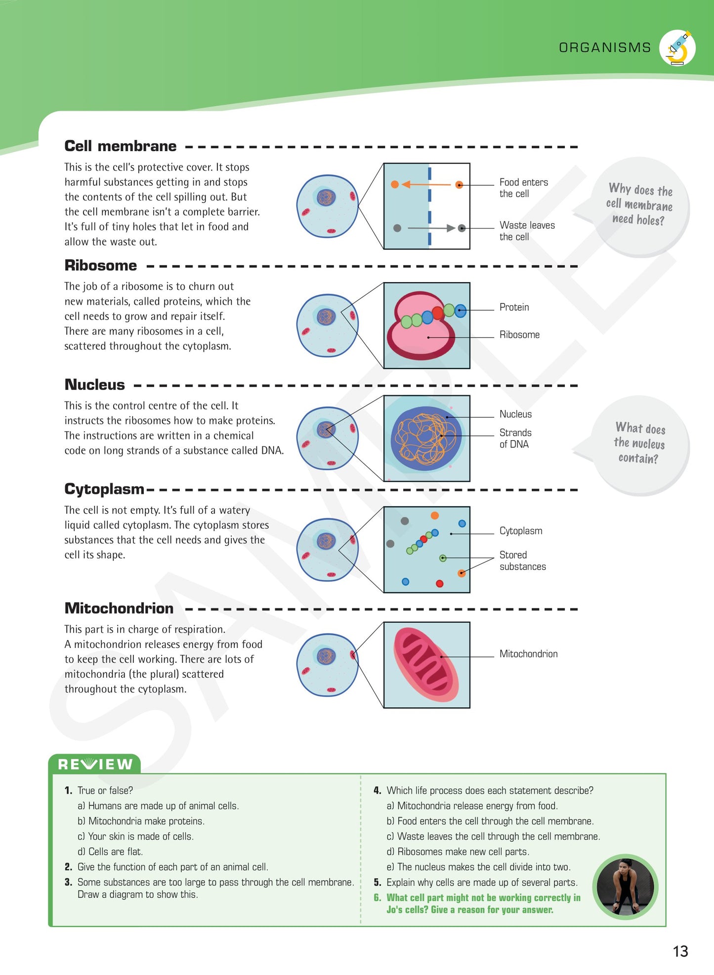 Year 7 Understanding Science textbook