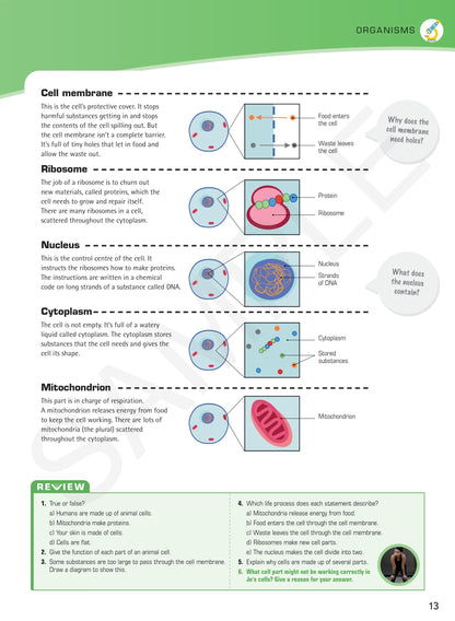 Year 7 Digital Understanding Science textbook