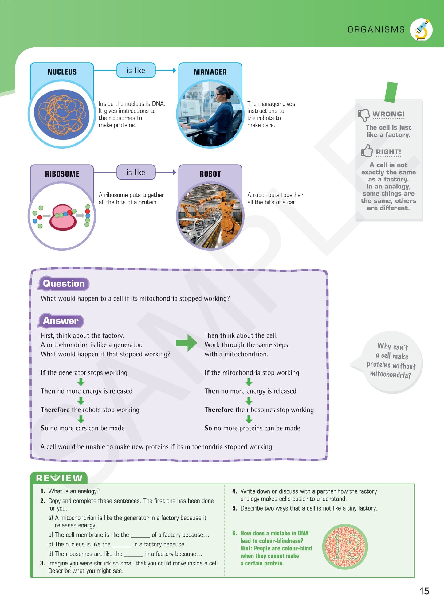 Year 7 Understanding Science textbook