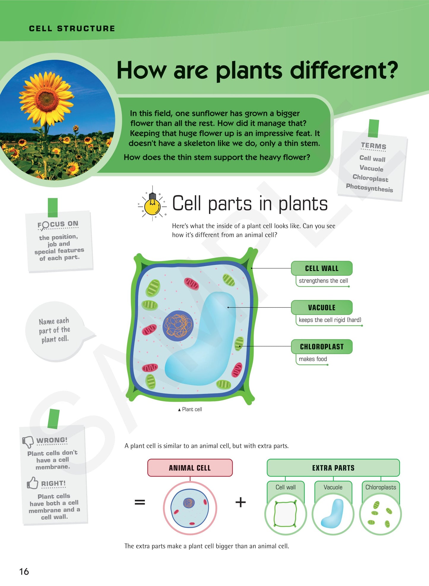 Year 7 Understanding Science textbook