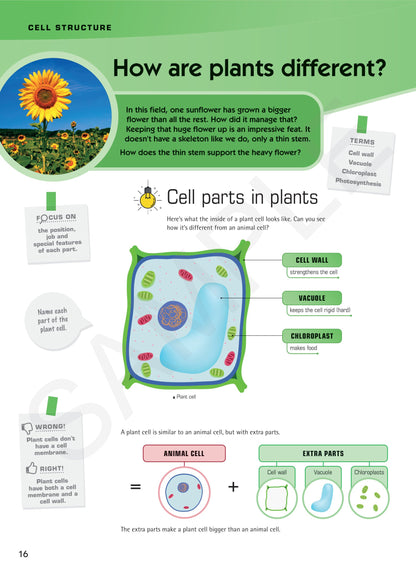 Year 7 Digital Understanding Science textbook