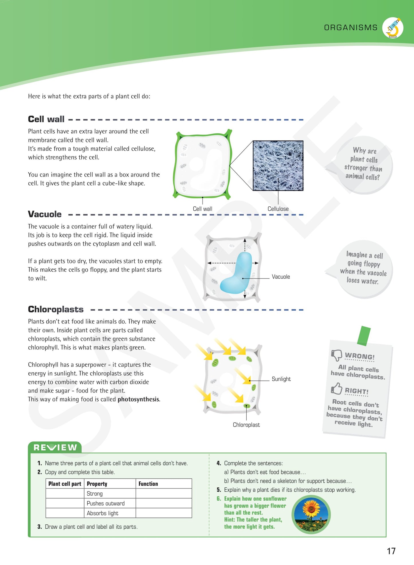 Year 7 Understanding Science textbook