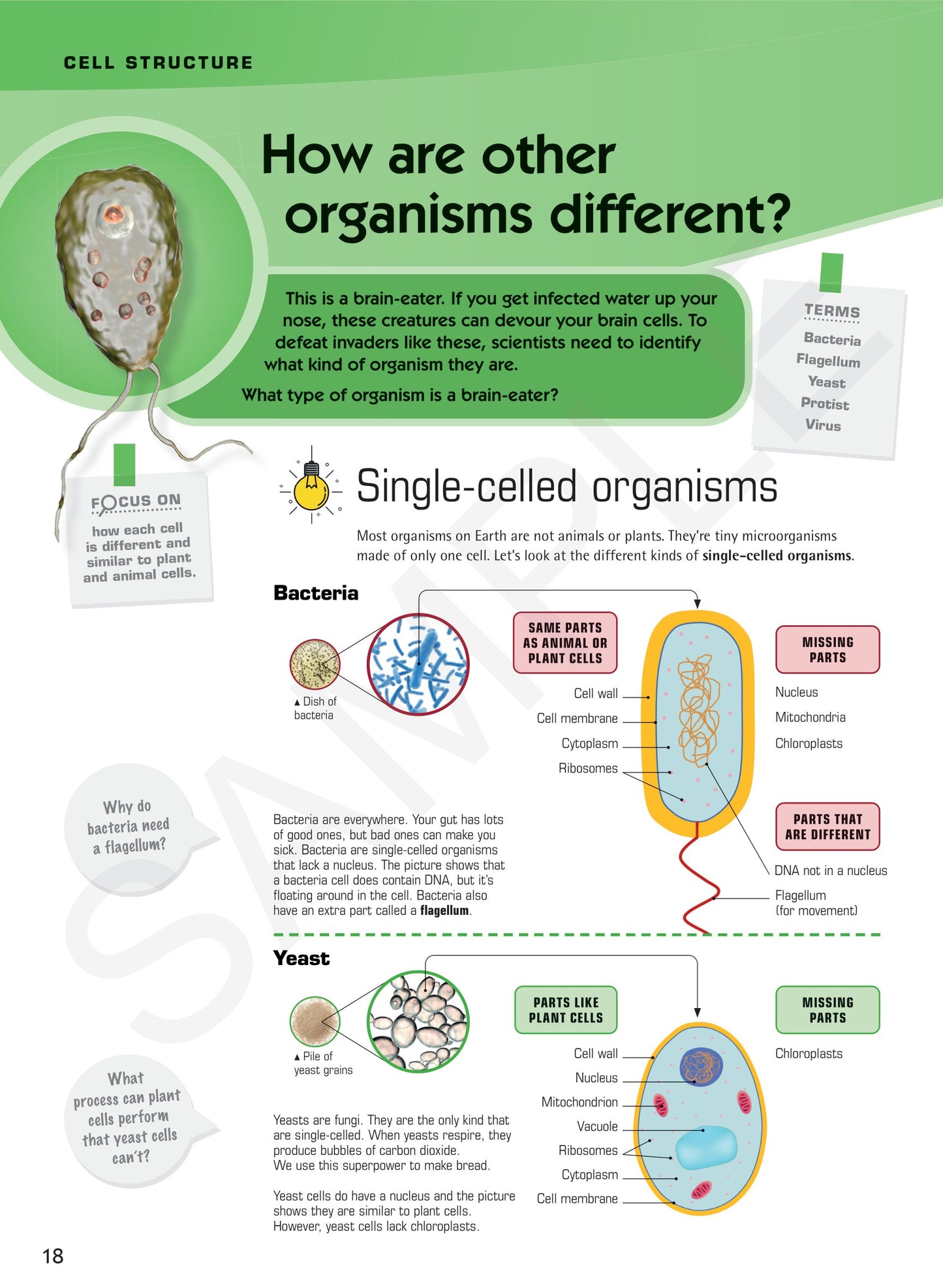 Year 7 Understanding Science textbook