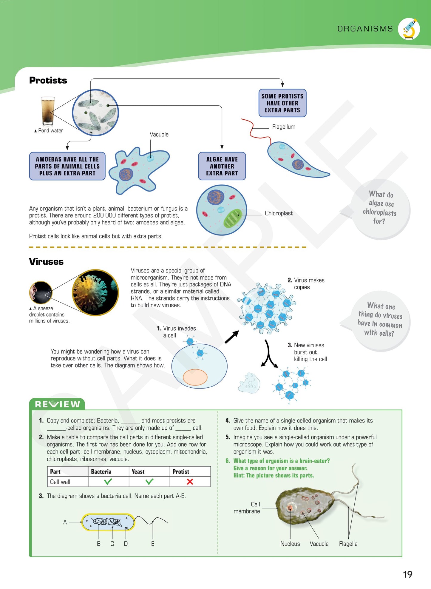 Year 7 Understanding Science textbook