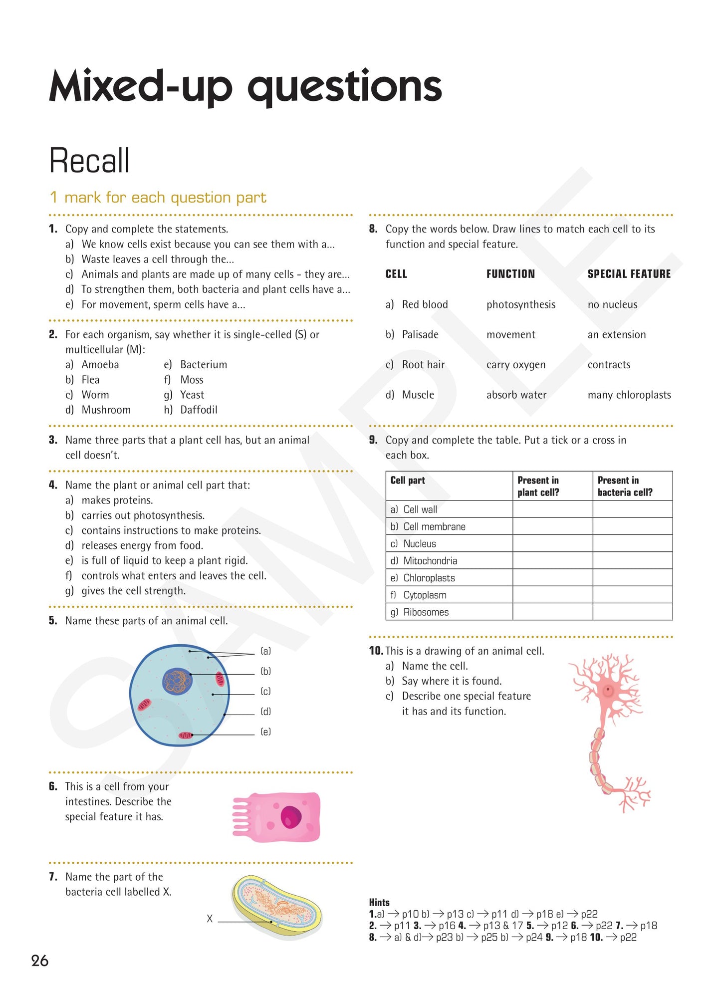 Year 7 Understanding Science textbook