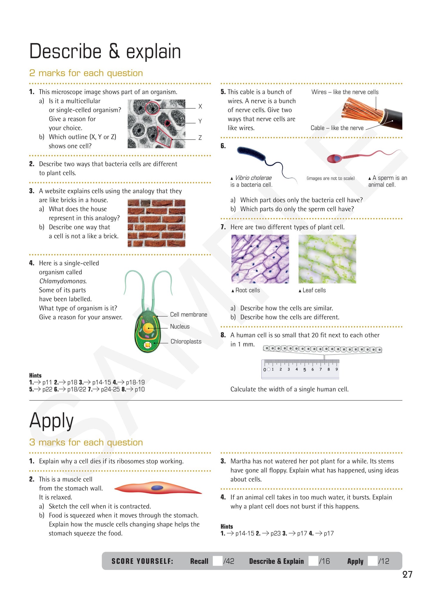 Year 7 Understanding Science textbook