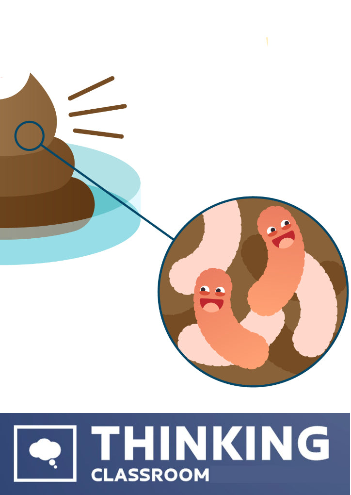 Poo transplants: Thinking Classroom version – MS