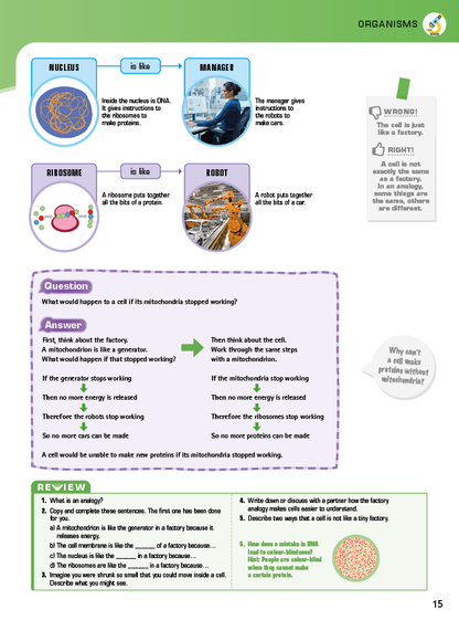 Set of Understanding Science Year 7