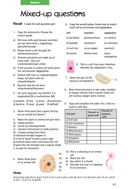 Free Cells chapter from Mastery Knowledge Book